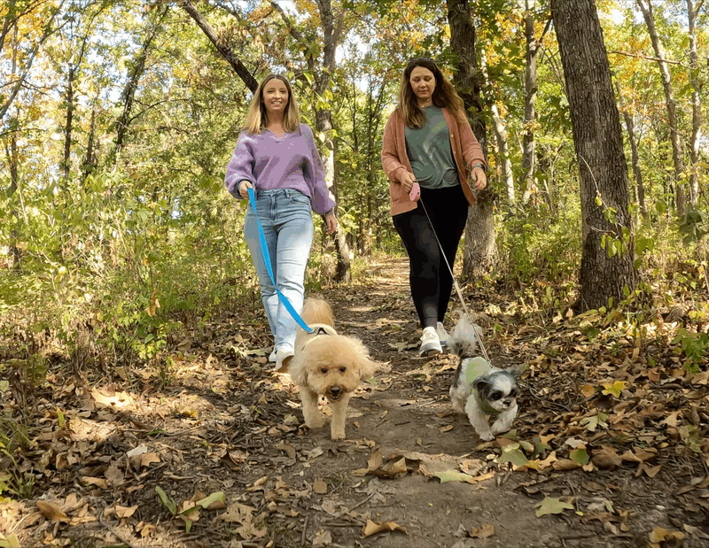 Walking dogs on a trail in OP
