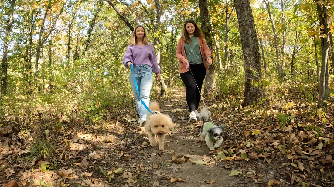 October in OP: Your Fall Bucket List (Without Leaving the Metro)